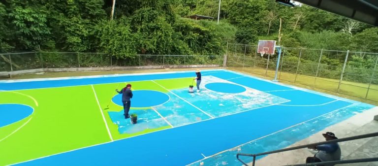 Proyecto para reacondicionar y pintar las canchas de nuestras escuelas públicas.